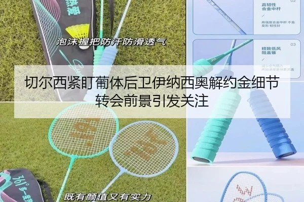 切尔西紧盯葡体后卫伊纳西奥解约金细节转会前景引发关注