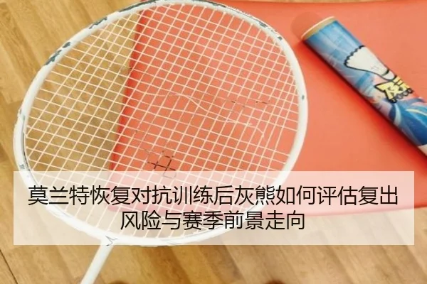 莫兰特恢复对抗训练后灰熊如何评估复出风险与赛季前景走向